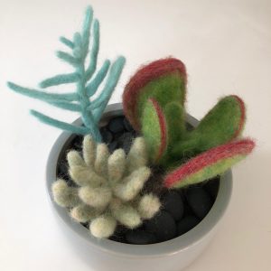 Needle Felted Wool Succulents