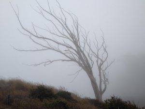 Still Standing