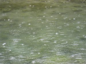 Rainwater